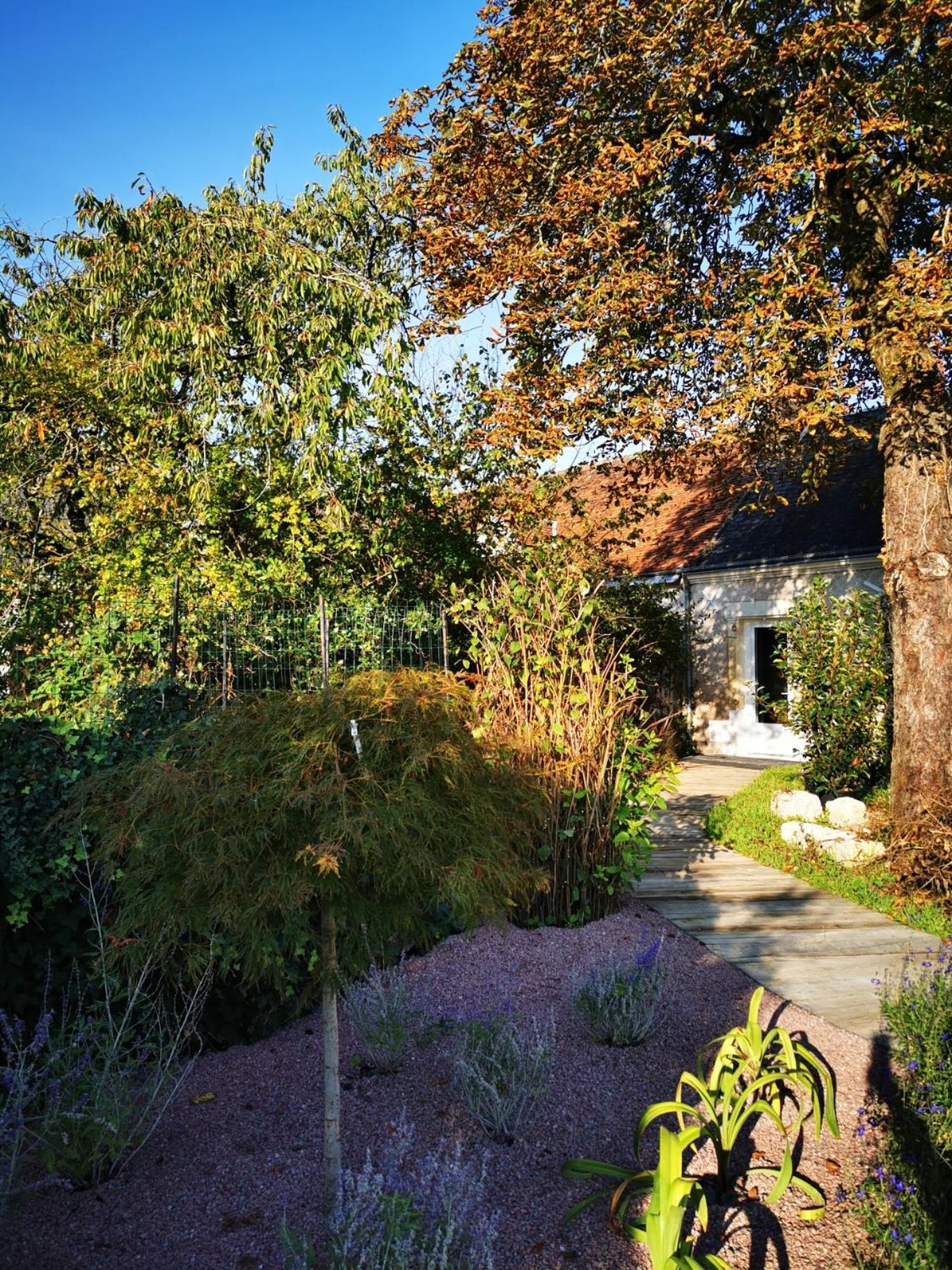 La Jacquiere Bed and Breakfast Chaumont-sur-Loire Buitenkant foto